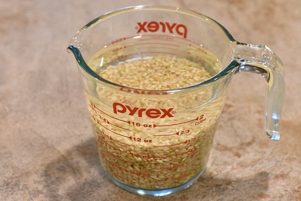 Gluten Free Brown Yum Yum Rice