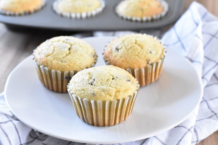 Keto Chocolate Chip Muffins