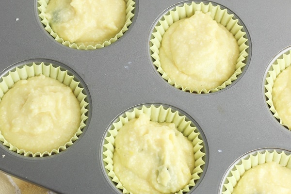 Gluten Free Blueberry Muffins