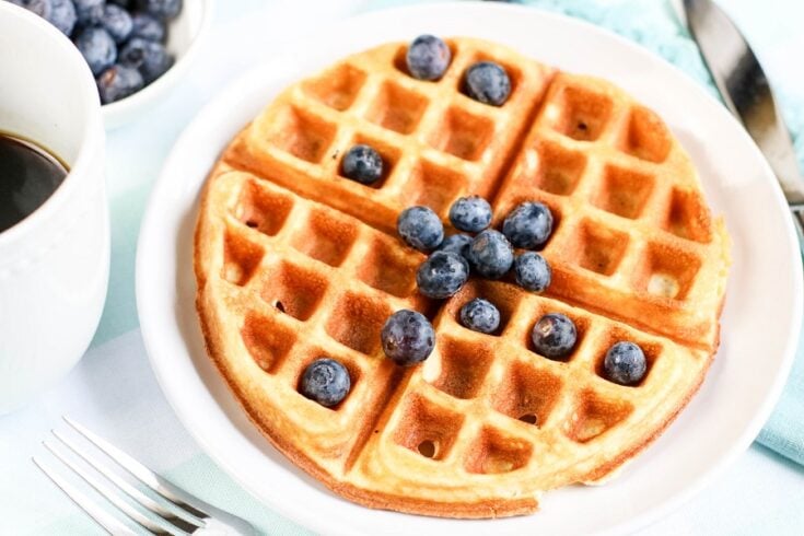 Low Carb Waffles