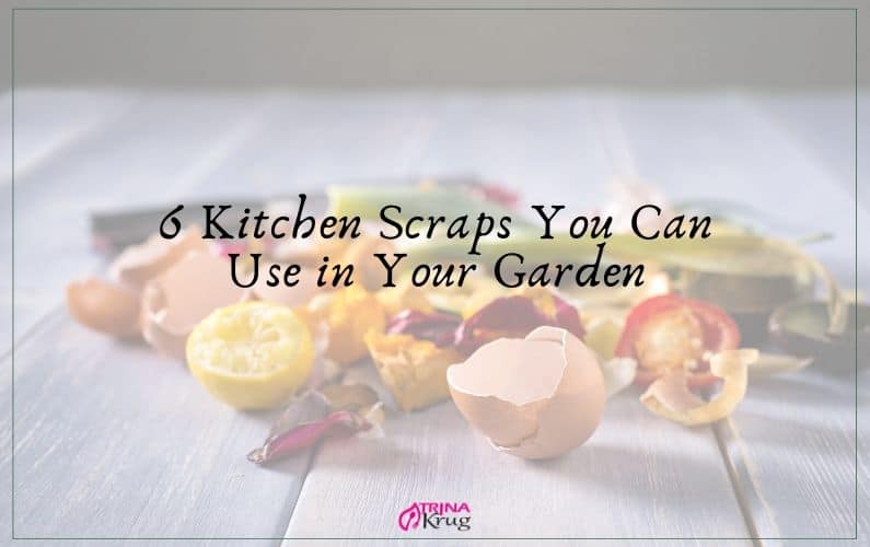 6 Kitchen Scraps You Can Use in Your Garden