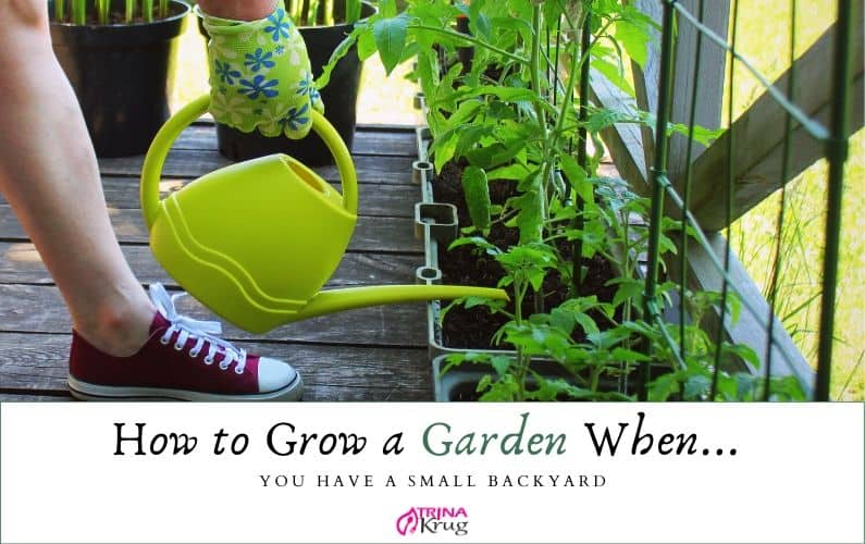 How to Grow a Garden When You Have a Small Backyard