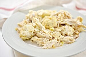A white plate filled with Keto Chikcne and Dumplings. The dish appears creamy, with shredded chicken, chunks of potatoes, and what looks like bits of celery, all coated in a creamy sauce. A white and red striped cloth is in the background.