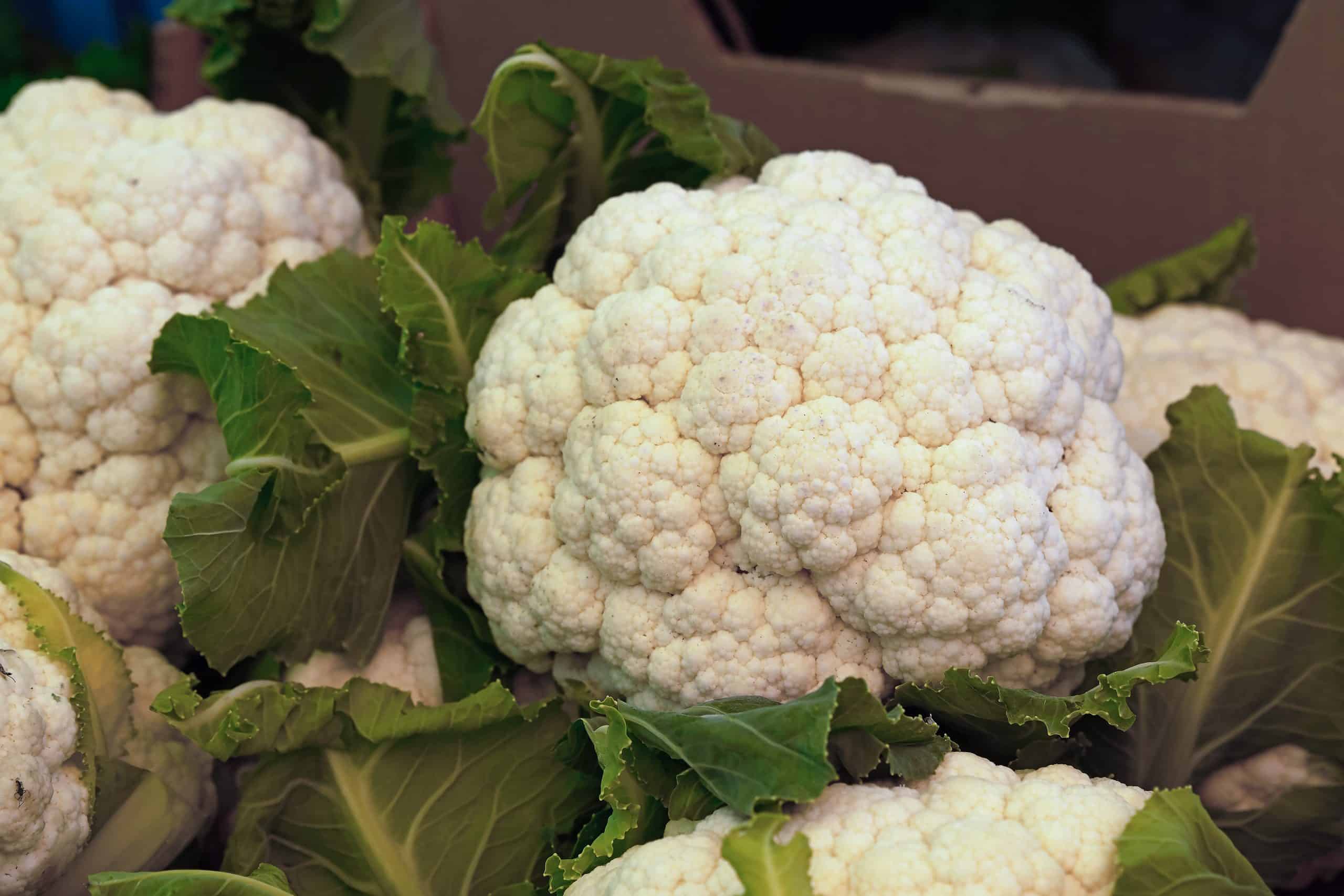 Close-up of fresh, white cauliflower heads surrounded by green leaves, displayed at a market stall.