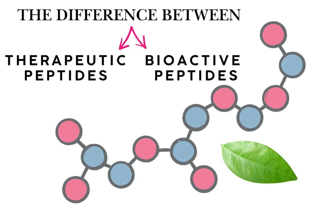 The Difference Between Therapeutic And Bioactive Peptides Trina Krug
