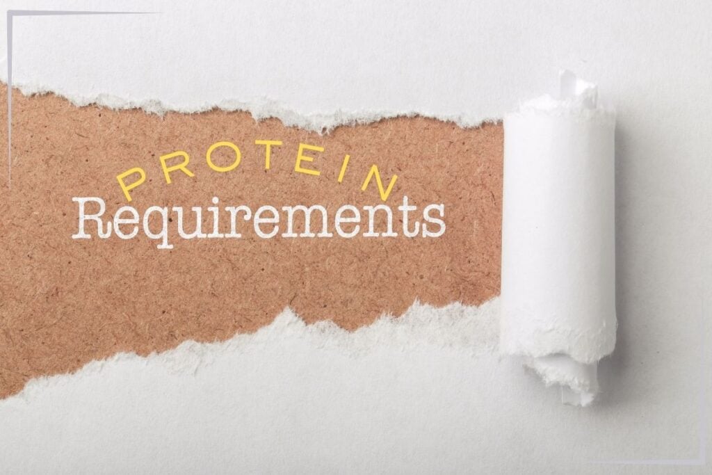 A corkboard that says "Protein Requirements"